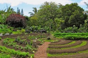 Kinsale Campus - Sustainable Horticulture / Permaculture, Level 5