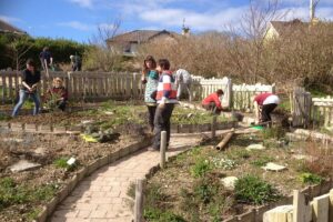 Kinsale Campus - Sustainable Horticulture / Permaculture, Level 5