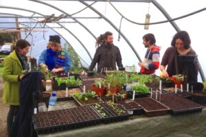 Kinsale Campus - Sustainable Horticulture / Permaculture, Level 5